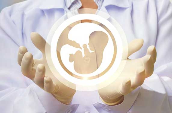 Egg Donor